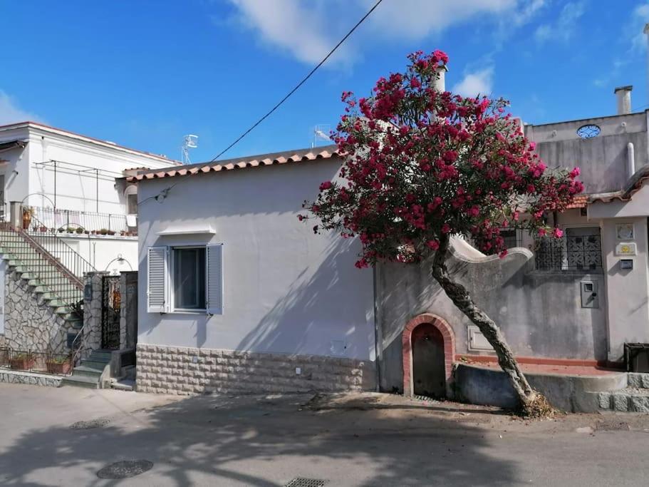 Sweet Home, Anacapri 外观 照片